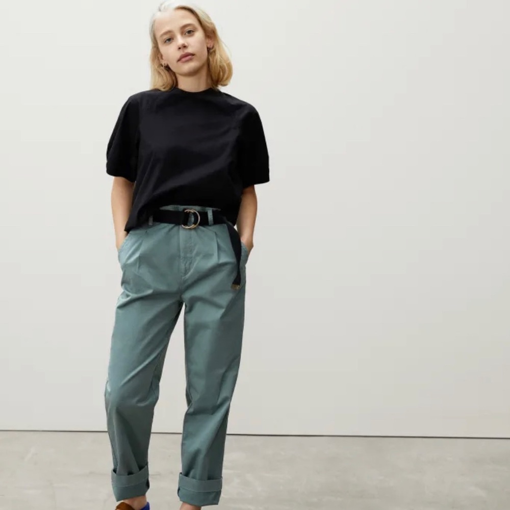 Everlane Pleated Chino Pants